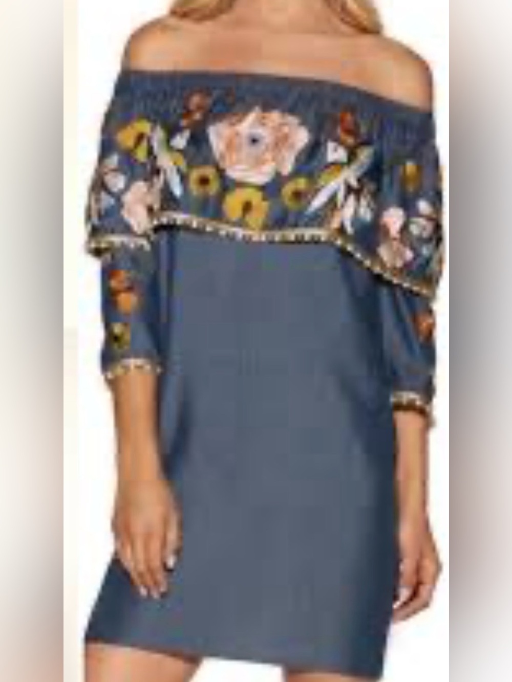 BOSTON  Proper blue chambray mini dress featuring bright floral embroidery Size